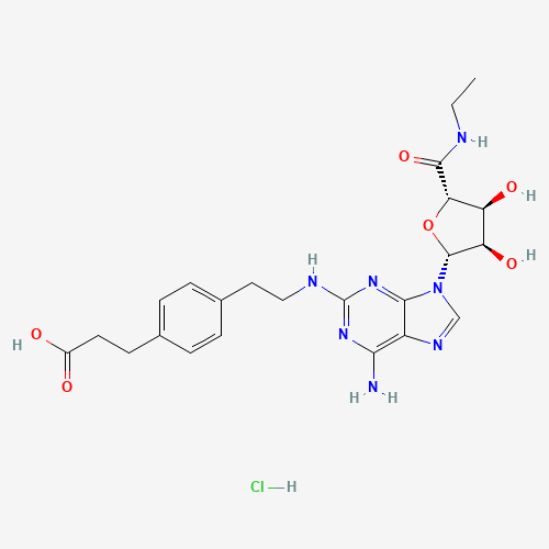 CGS-21680 HYDROCHLORIDE (CAS: 124182-57-6) - Related Chemical Product