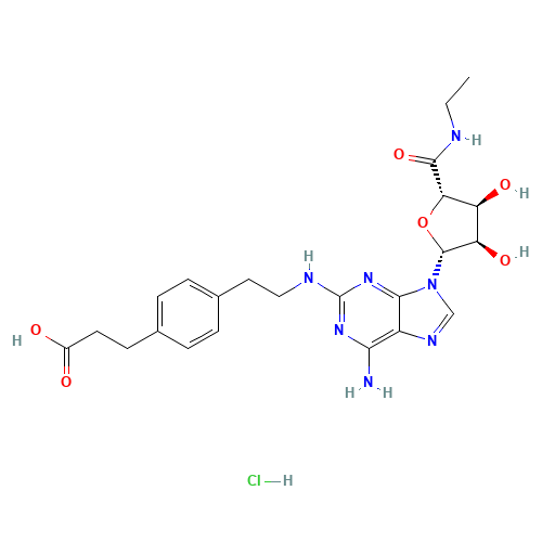 CGS-21680 HYDROCHLORIDE (CAS: 124182-57-6) - Related Chemical Product