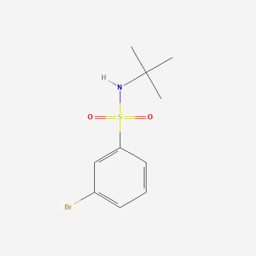 3-Bromo-N-tert-butyl-benzenesulfonamide (CAS: 308283-47-8) - Related Chemical Product