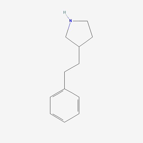 3-Phenethyl-pyrrolidine (CAS: 613676-70-3) - Related Chemical Product