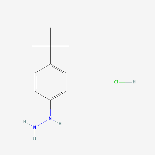 4-tert-Butylphenylhydrazine hydrochloride (CAS: 36600-66-5) - Related Chemical Product