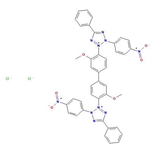 Nitrotetrazolium blue chloride (CAS: 298-83-9) - Related Chemical Product