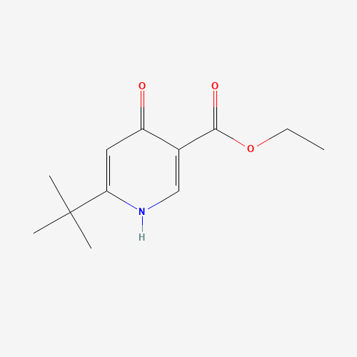 Ethyl 6-tert-butyl-4-oxo-1,4-dihydropyridine-3-carboxylate (CAS: 134653-98-8) - Related Chemical Product