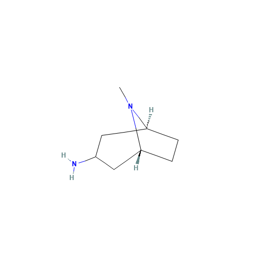 endo-3-Aminotropane (CAS: 87571-88-8) - Related Chemical Product