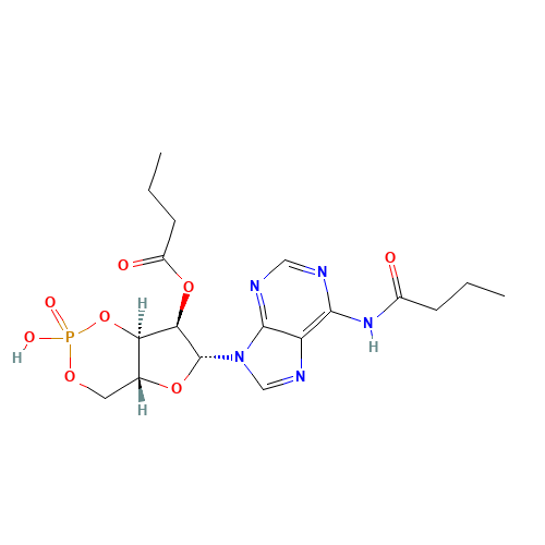 N-(9-beta-D-Ribofuranosyl-9H-furin-6-yl)-butyramide cyclic 3',5'-(hydrogen phosphate) 2'-butyrate (CAS: 362-74-3) - Related Chemical Product