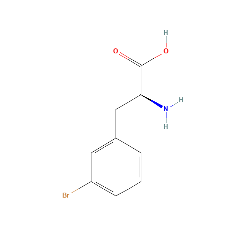 3-Bromo-L-phenylalanine (CAS: 82311-69-1) - Related Chemical Product