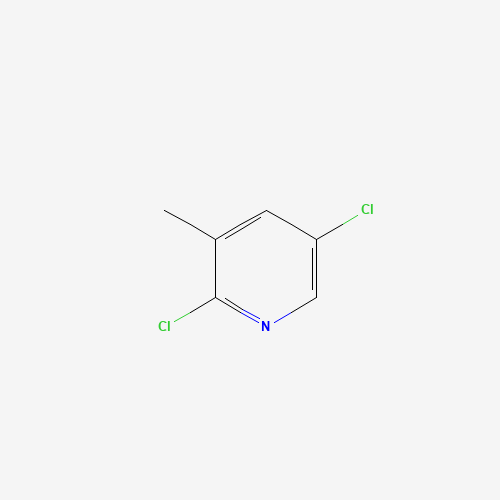 2,5-DICHLORO-3-PICOLINE (CAS: 59782-88-6) - Related Chemical Product
