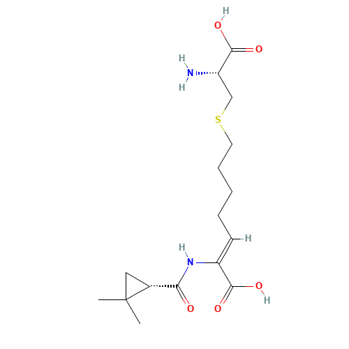 Cilastatin (CAS: 82009-34-5) - Related Chemical Product