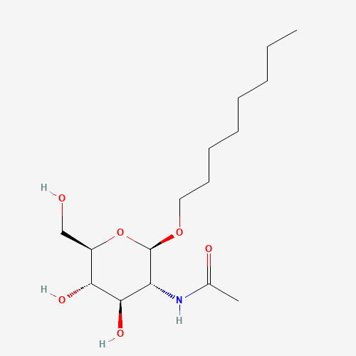 OCTYL 2-ACETAMIDO-2-DEOXY-B-D-GLUCOPYRANOSIDE (CAS: 147126-58-7) - Related Chemical Product