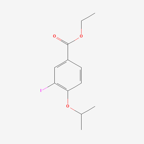 ethyl 3-iodo-4-isopropoxybenzoate (CAS: 1131614-47-5) - Related Chemical Product