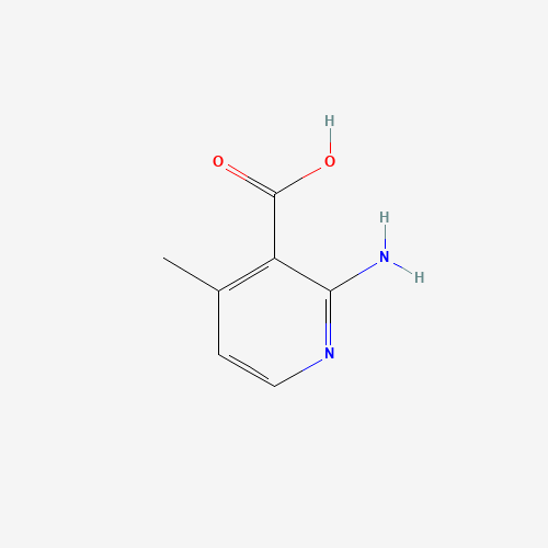 2-AMINO-4-METHYLNICOTINIC ACID, (CAS: 38076-82-3) - Related Chemical Product