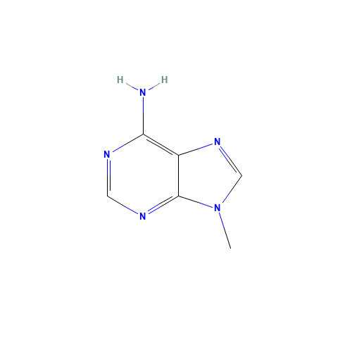 9-METHYLADENINE (CAS: 700-00-5) - Related Chemical Product