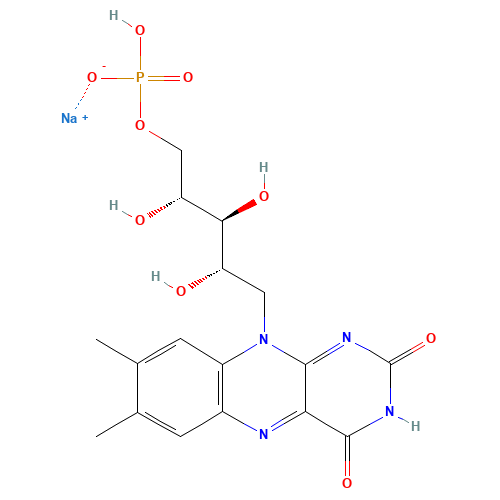Riboflavin-5-phosphate sodium (CAS: 130-40-5) - Related Chemical Product