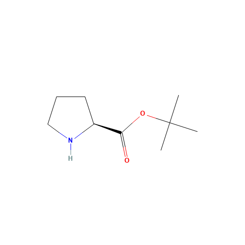 H-PRO-OTBU (CAS: 2812-46-6) - Related Chemical Product