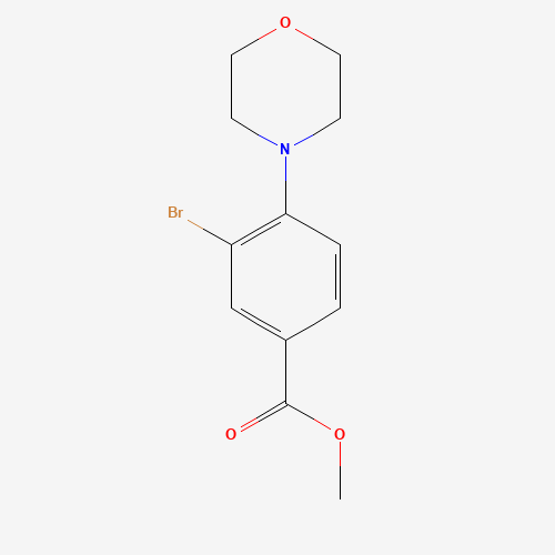 methyl 3-bromo-4-morpholinobenzoate (CAS: 1131622-56-4) - Related Chemical Product