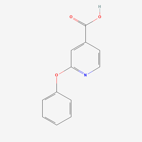 2-PHENOXY ISONICOTINIC ACID (CAS: 51362-08-4) - Related Chemical Product