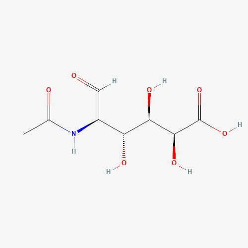 2-Acetamido-2-deoxy-D-galacturonic Acid (CAS: 45171-33-3) - Related Chemical Product