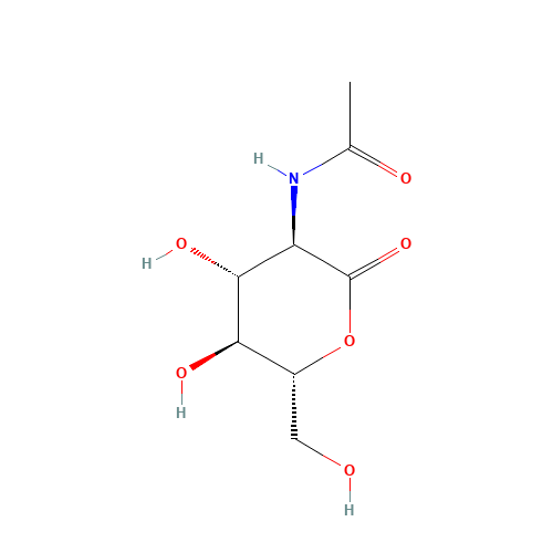 2-Acetamido-2-deoxy-D-glucono-1,5-lactone (CAS: 19026-22-3) - Related Chemical Product