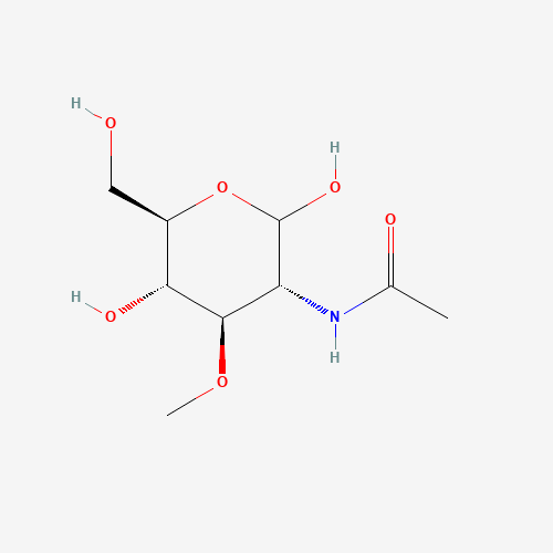 2-Acetamido-2-deoxy-3-O-methyl-D-glucopyranose (CAS: 94825-74-8) - Related Chemical Product