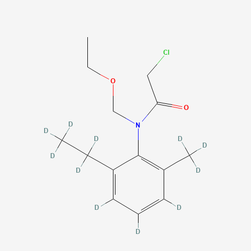 Acetochlor-d11 (CAS: 1189897-44-6) - Related Chemical Product