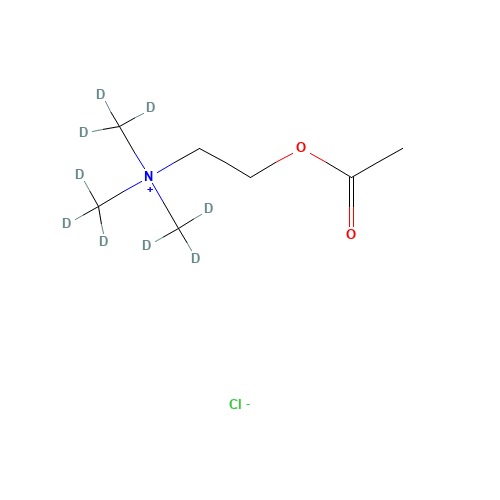 Acetylcholine-d9 Chloride (CAS: 344298-95-9) - Related Chemical Product