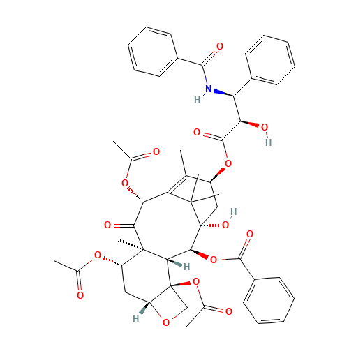 7-Acetyl Paclitaxel (CAS: 92950-39-5) - Related Chemical Product