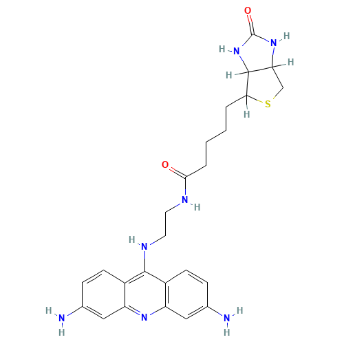 Acriflavin-Biotin Conjugate (CAS: 1041387-90-9) - Related Chemical Product