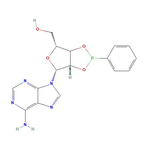 Adenosine-2',3'-O-phenylboronate (CAS: 4710-68-3) - Related Chemical Product