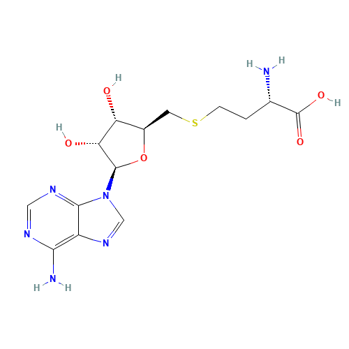 S-(5'-Adenosyl)-L-homocysteine (CAS: 979-92-0) - Related Chemical Product