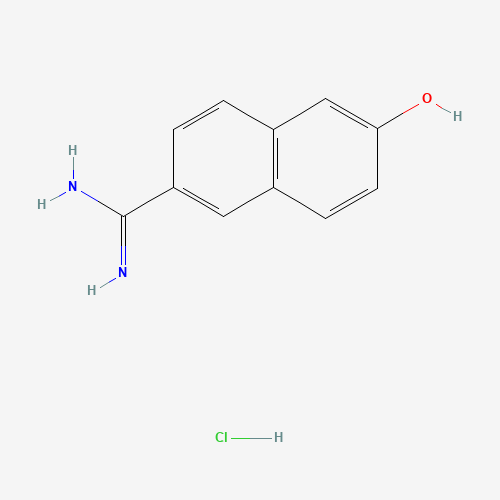 6-Amidino-2-naphthol Hydrochloride (CAS: 66217-10-5) - Related Chemical Product