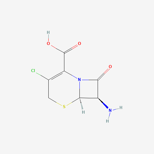 7-Amino-3-chloro-3-cephem-4-carboxylic acid (CAS: 53994-69-7) - Related Chemical Product