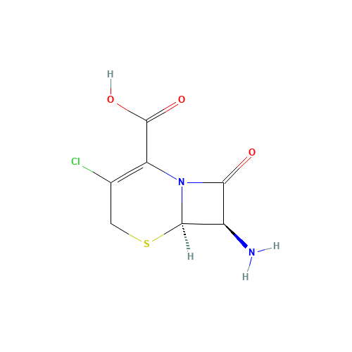 7-Amino-3-chloro-3-cephem-4-carboxylic acid (CAS: 53994-69-7) - Related Chemical Product