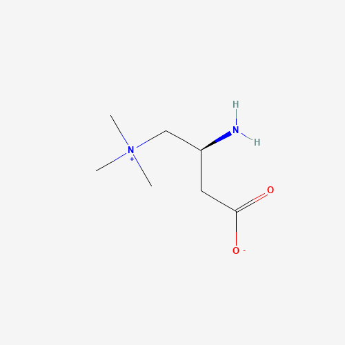 (S)-Amino Carnitine (CAS: 125377-87-9) - Related Chemical Product