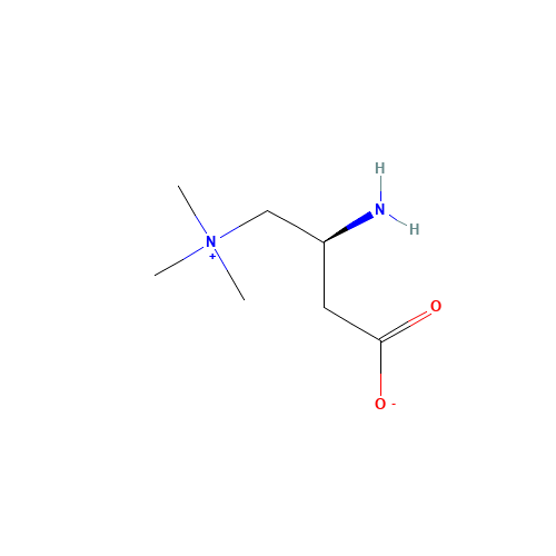 (S)-Amino Carnitine (CAS: 125377-87-9) - Related Chemical Product