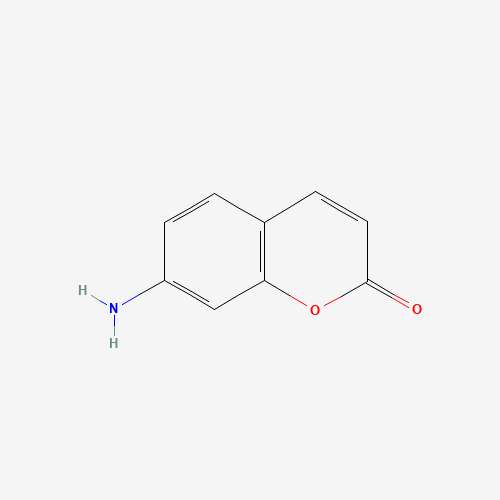 7-Aminocoumarin (CAS: 19063-57-1) - Related Chemical Product