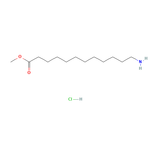 12-Amino-1-dodecanoic Acid Methyl Ester Hydrochloride Salt (CAS: 4271-86-7) - Related Chemical Product