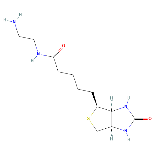 N-(2-Aminoethyl)biotinamide (CAS: 111790-37-5) - Related Chemical Product