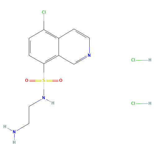 N-(2-Aminoethyl)-5-chloroisoquinoline-8-sulfonamide Dihydrochloride (CAS: 1177141-67-1) - Related Chemical Product