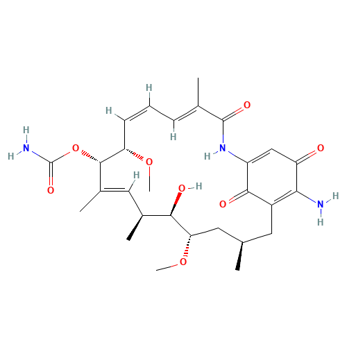17-Amino Geldanamycin (CAS: 64202-81-9) - Related Chemical Product