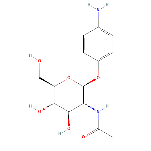 4-Aminophenyl 2-Acetamido-2-deoxy-b-D-glucopyranoside (CAS: 14419-59-1) - Related Chemical Product