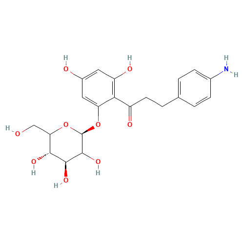 4-Aminophlorizin (CAS: 82628-89-5) - Related Chemical Product