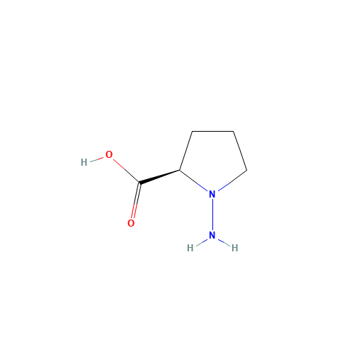 N-Amino-D-proline (CAS: 10139-05-6) - Related Chemical Product