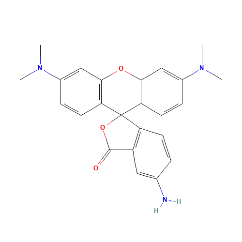 5-Aminotetramethyl Rhodamine (CAS: 167095-10-5) - Related Chemical Product