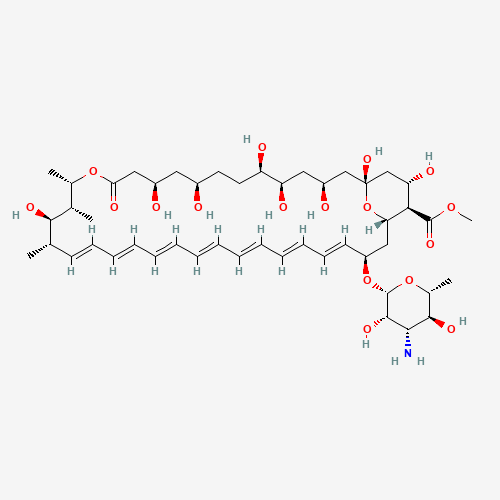 Amphotericin B Methyl Ester 90% (CAS: 36148-89-7) - Related Chemical Product