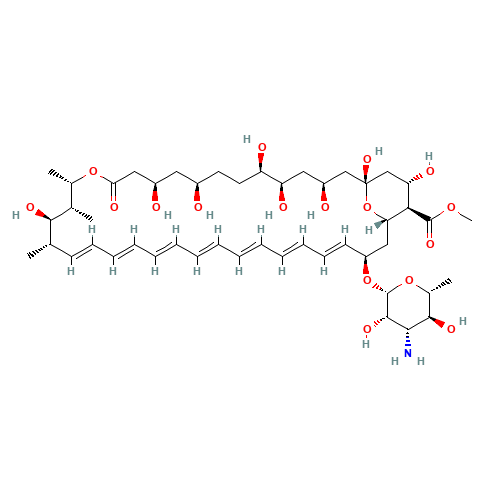 Amphotericin B Methyl Ester 90% (CAS: 36148-89-7) - Related Chemical Product
