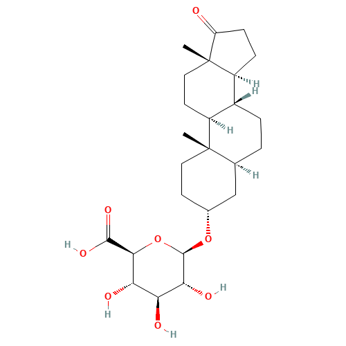 Androsterone b-D-Glucuronide (CAS: 1852-43-3) - Related Chemical Product