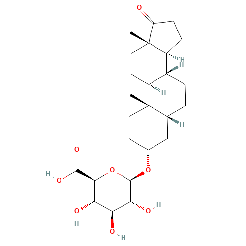 5b-Androsterone b-D-Glucuronide (CAS: 3602-09-3) - Related Chemical Product
