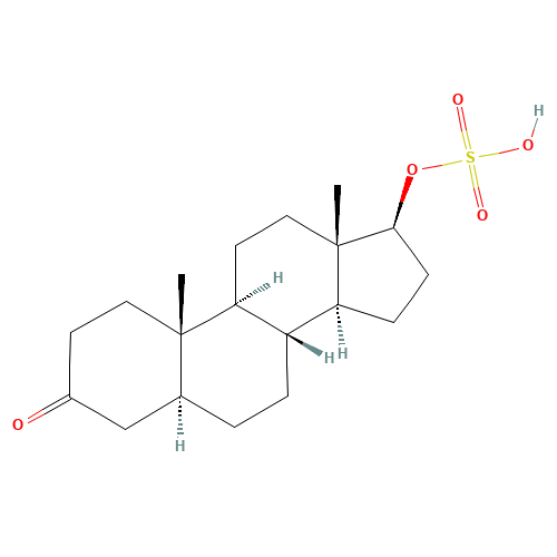 Androstanolone 17-O-Sulfate (CAS: 2641-48-7) - Related Chemical Product