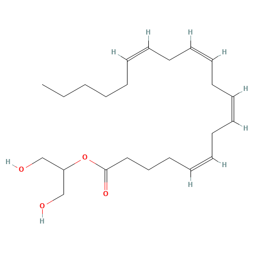 2-Arachidonyl Glycerol (CAS: 53847-30-6) - Related Chemical Product