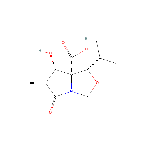 (3R,4S,5S,6S)-1-Aza-5-carboxyl-4-hydroxy-6-isopropyl-3-methyl-7-oxabicyclo[3.3.0]octan-2-one (CAS: 145451-96-3) - Related Chemical Product
